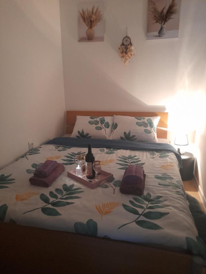 Apartman Lela Вршац Екстер'єр фото
